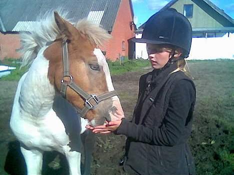 Anden særlig race Zultan <'33 - Pernille og Zultan ! "Jeg spiser dig gør jeg !" billede 11