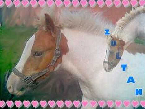 Anden særlig race Zultan <'33 - Super smukt ! Lavet af dejlige • • Frk-Figo elsker sin elskede Tornado• • ! billede 19