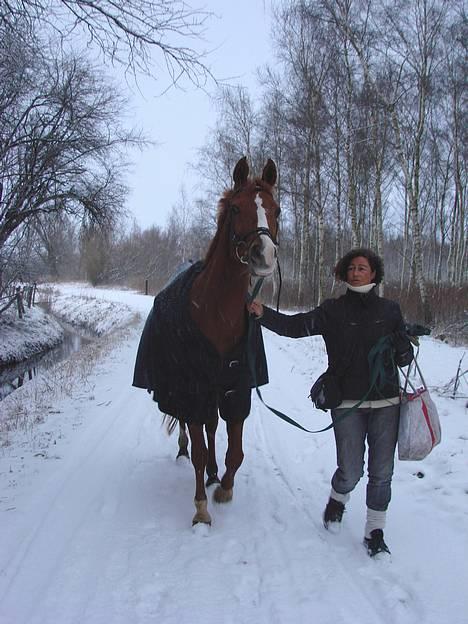 Anden særlig race Annabell - Part - Så smuk hun er <3 billede 16