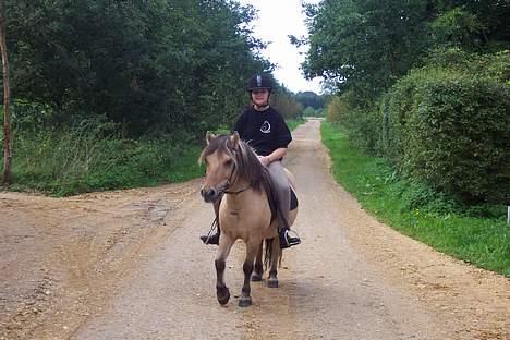 Anden særlig race filex   solgt -   og så den anden vej bare  hun kan finde ud af hvad vej hun vil **GG** billede 5
