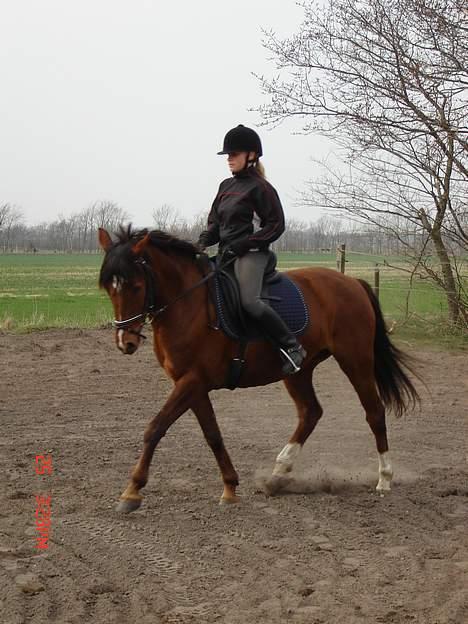 Anden særlig race Velour  - Dressur, maj-06 billede 9