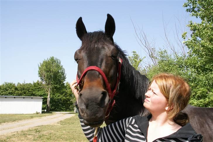 Traver | Teddy Hastrup R.I.P :'( - #3 Teddy på marken - et par dage efter jeg fik ham - Jeg elsker dig min skat :´)?.. billede 2