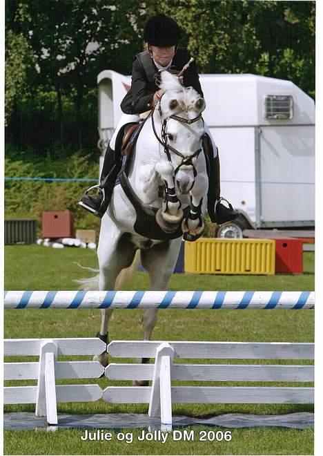 New Forest Jolly Vesta - solgt :'/ - Smukke jolly til dm billede 11