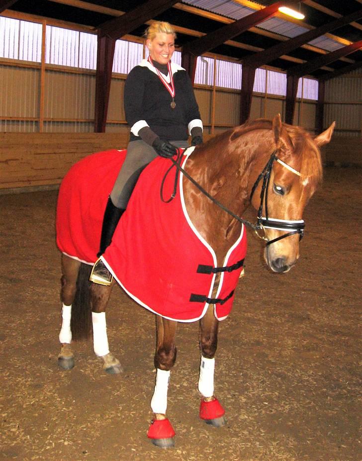 Trakehner Hannibal R.I.P - med vores sølvmedalje fra JRK championatet 2009. billede 7