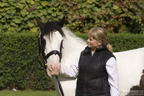 Irish Cob Lucky Luke - billeder fra store heste dag 2006 billede 11