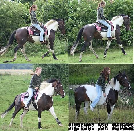 Paint Sixpence billede 16