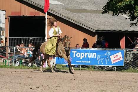 Akhal-Tekiner Golden Boy - Opvisning i Akademisk billede 15