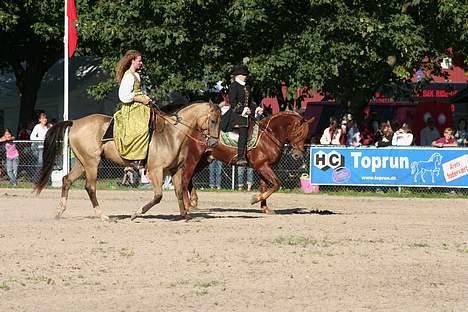 Akhal-Tekiner Golden Boy - Golden og Baldur opvisning i Akademisk Ridekunst. billede 17
