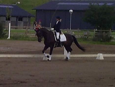 Oldenborg Ally af Egense R.I.P. - Stadig program... billede 3