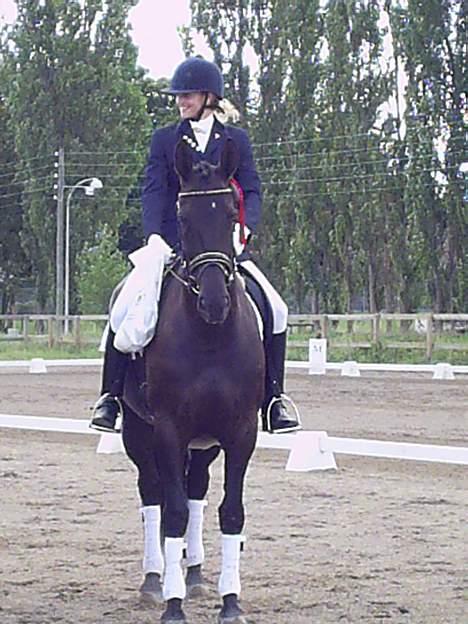 Oldenborg Ally af Egense R.I.P. - Præmieoverrækkelse... billede 5