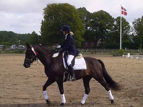 Oldenborg Ally af Egense R.I.P. - Skridt ud efter en æresrunde... billede 6