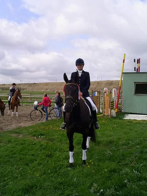 Oldenborg Ally af Egense R.I.P. - Flere billeder... billede 10