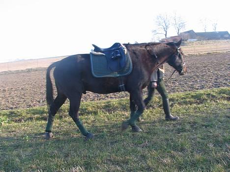 Traver Elliot Swing (Fjot) Død) - På vej ind efter træning 24 marts 2007. Foto Trine billede 17