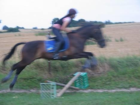 Traver Elliot Swing (Fjot) Død) - Fjot og jeg springer 9-8 2006 Foto Trine billede 18