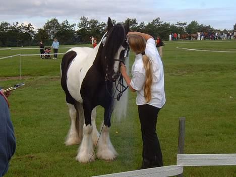 Tinker Lord Wallentin  * DØD * - Masser af hår både hos Walle og Sabina billede 17