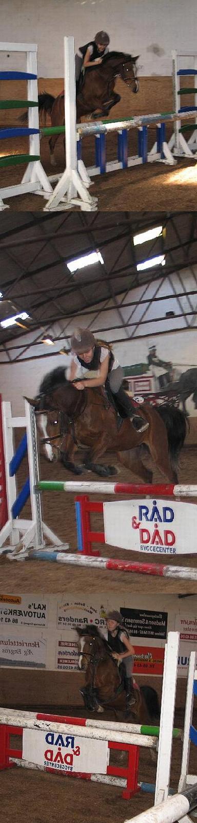 Anden særlig race Clements Lobel( R.I.P) - Lobel til Onsdags springning. Træning.  Fotograf: Line W <3  billede 16