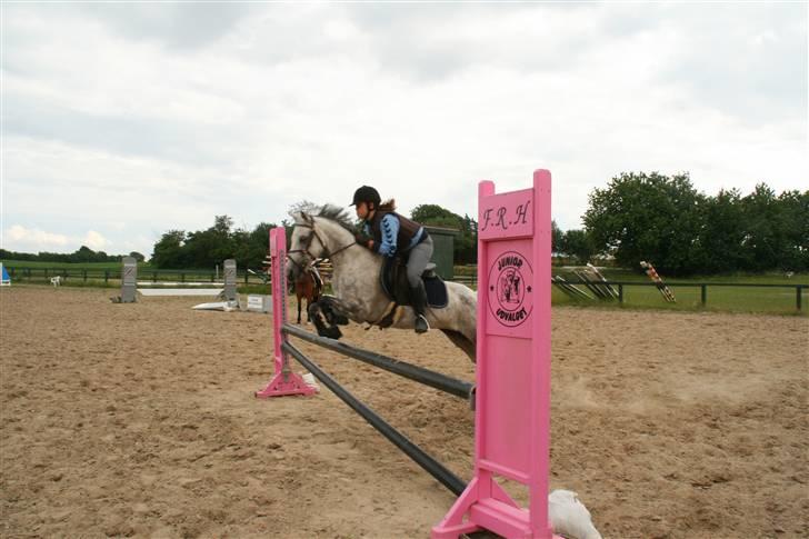 Hollandsk Sportspony | Rainy Lake (solgt 07) - Hopla! min pony er et smuk natur talent;P ( skal bare lige havde lidt hjælp med at styre tempoet;P) billede 16