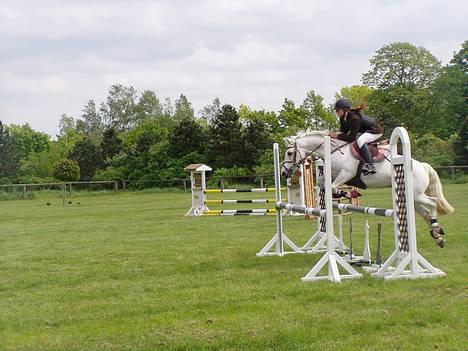 Connemara Skousboe sweet mandy SOLG billede 13