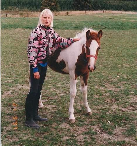 Pinto Pebsi <3 - *himmelpony* R.I.P d.12.09.2011 :'( - Pebsi som føl billede 5