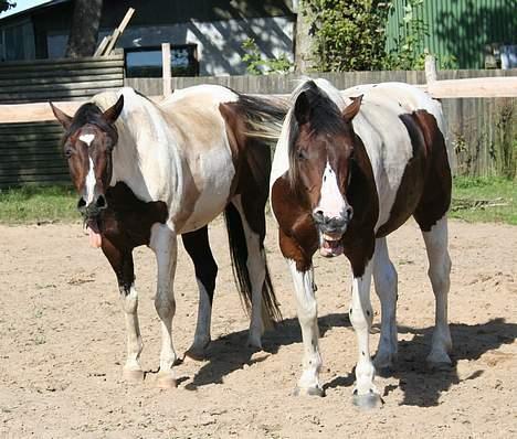 Paint Sixpence - Six og Mic efter noget træning... åbenbart hårdt for tøserne... hehe  billede 19
