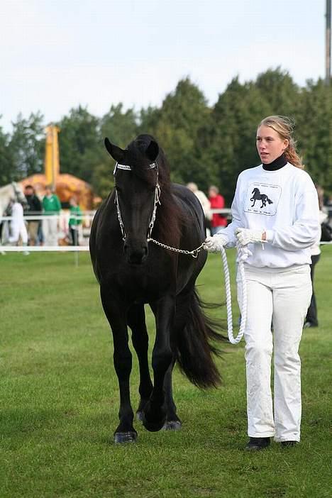 Frieser Maike Rozalien J. - Maike til Store Hestedag. Gik fløj med 9 i helhed billede 6