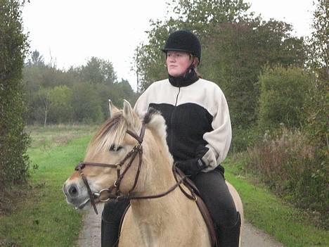 Anden særlig race Whisky - hvad skuer mit øje i det fjerne???? alle dem fra min flok... vrinsk billede 20