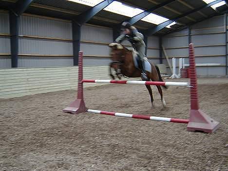 DSP Much ( R.I.P ) - springer med gammel ejer billede 5