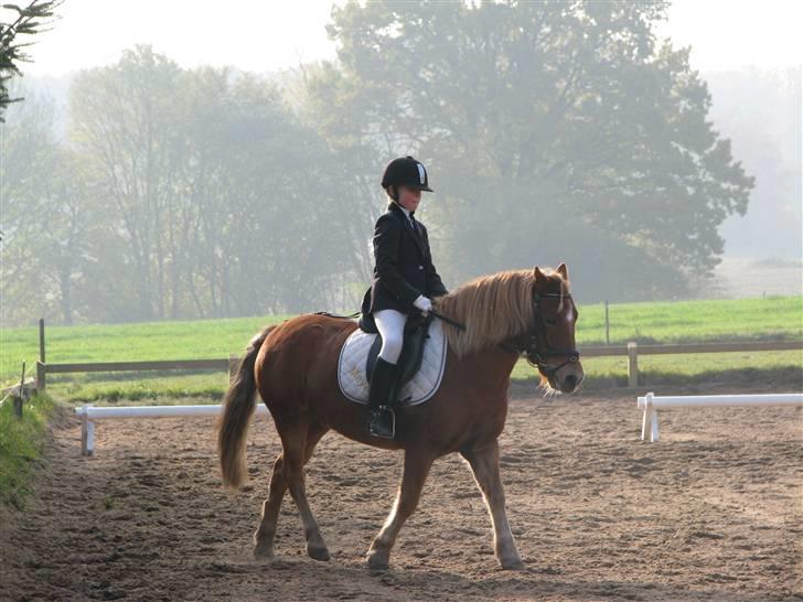 Anden særlig race otto billede 20