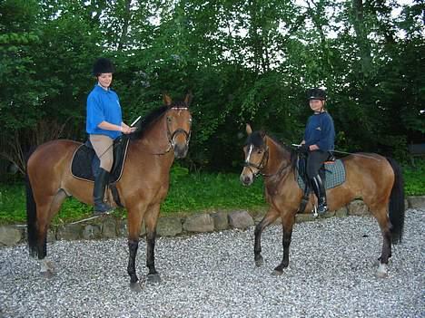 Anden særlig race Krastrups Tumbleweed - Jeg er da bare størst!! billede 2