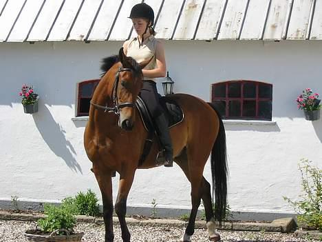Anden særlig race Krastrups Tumbleweed - Tralalalaaa.. Så gør vi boogey boogey.. billede 10