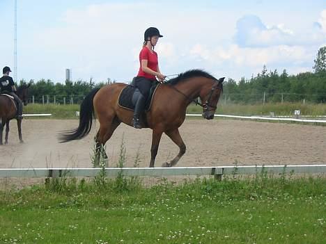 Anden særlig race Krastrups Tumbleweed - Træning! billede 12