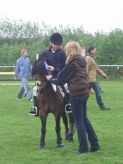Anden særlig race Tarzan R.I.P <3 - Vores første udestævnde i Revsø. Prømieoverrækkelse. Vi startede 4 klasser den weekend, og kom hjem med tre 2. pladser og en 1.plads :)
6 år siden :) billede 18