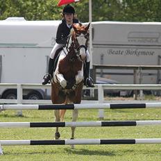 Anden særlig race ». Chicago.