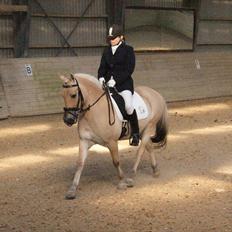 Fjordhest Emjays mille