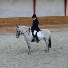 Fjordhest Emjays mille