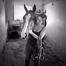 Hannoveraner Lapita-Star