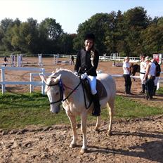 Anden særlig race Karla| Elevpony