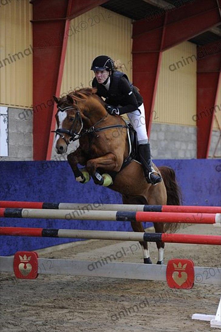 DSP Tesoro - Velkommen til teso's profil ... <3 billede 1