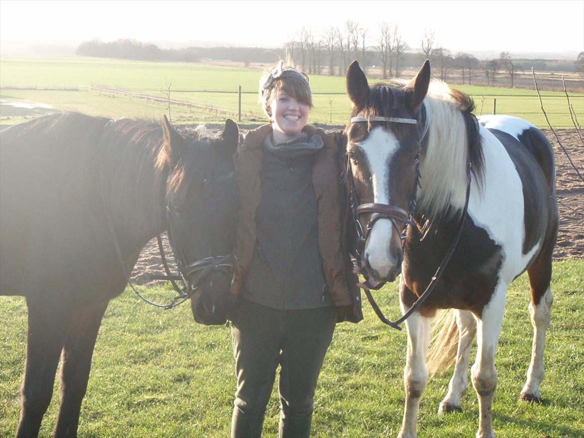 Anden særlig race Kong Hans' - Hanse'manden, mig og min skønne hoppe Springtime <3 billede 8