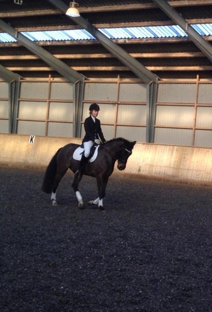 DSP Lille Asserholt Nickelodeon - Til stævne på Hashøj rideklub! ;-)
Vi vandt anden klasse (LC2) med 69,1%
Fantastisk dag!  billede 4