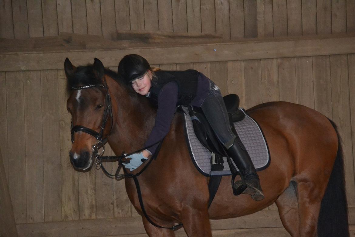 DSP MIRA-BELL VENTURE  - :-) billede 13