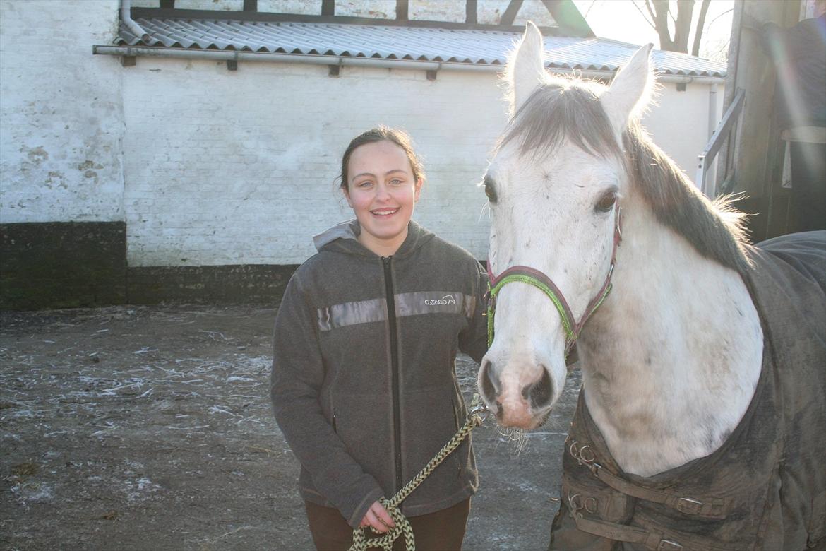 Anden særlig race Silver<3 - Få minutter efter han var kommet ud, af hestetransporten.<3 billede 1