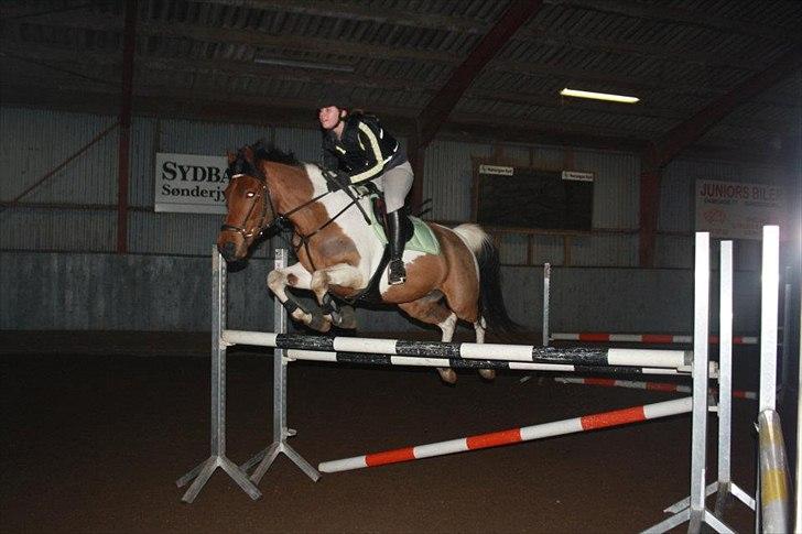 Hollandsk Sportspony Elmelunds Dalton - Elmelunds Dalton træning 2.Februar 
1.10 taget af Lena Kleinert :D billede 16