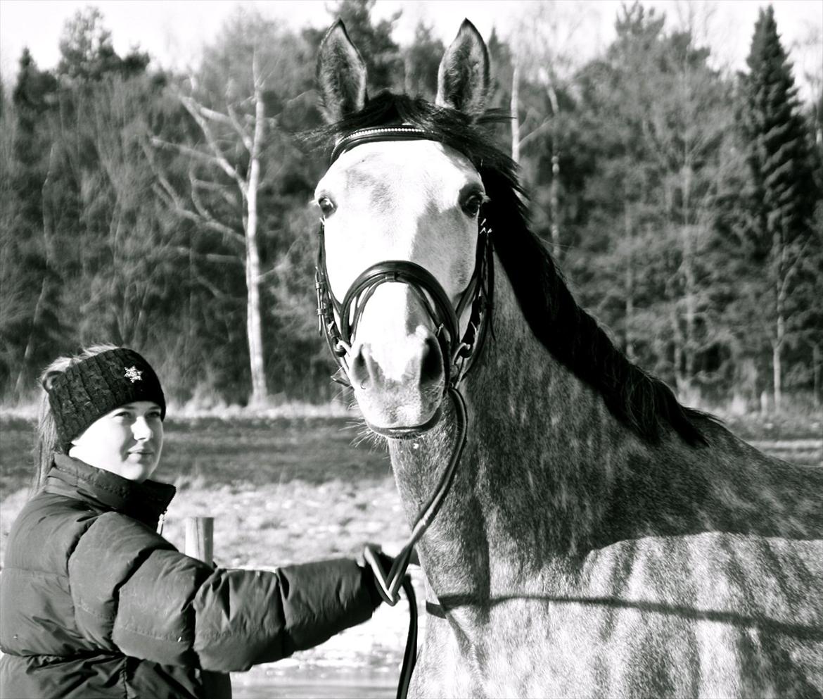 Holstener Zarina Von Harknag - Vores sidste dag sammen 31.1.12 billede 5