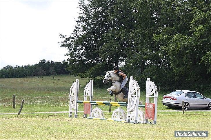 Anden særlig race Lukke<3 *pony<3* - Mig og Lukke til springkursus 2011 billede 15