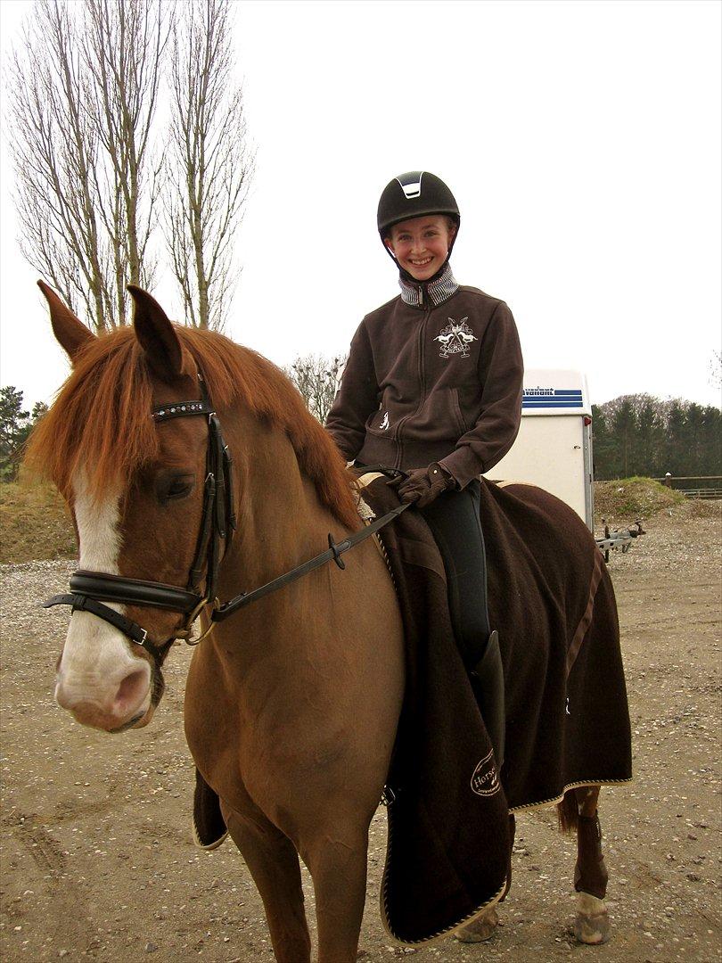 Anden særlig race tango billede 1