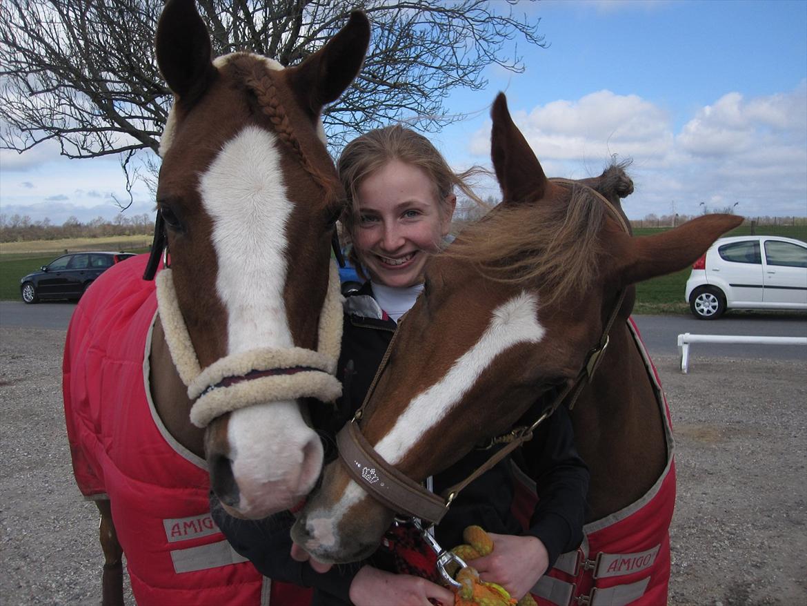 Anden særlig race tango billede 12