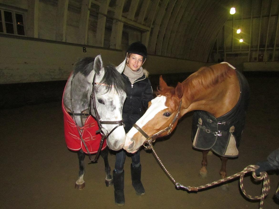 Hollandsk Sportspony Kylah W - De to bedste heste <3 Ibi og Kylah..
"når noget er perfekt, er det ikke fordi det er fejlfri, men fordi jeg ikke ønsker det anderledes.
Ibi min skat, du vil aldrig blive glemt, jeg tænker på dig hver dag.. im so sorry baby.... billede 7
