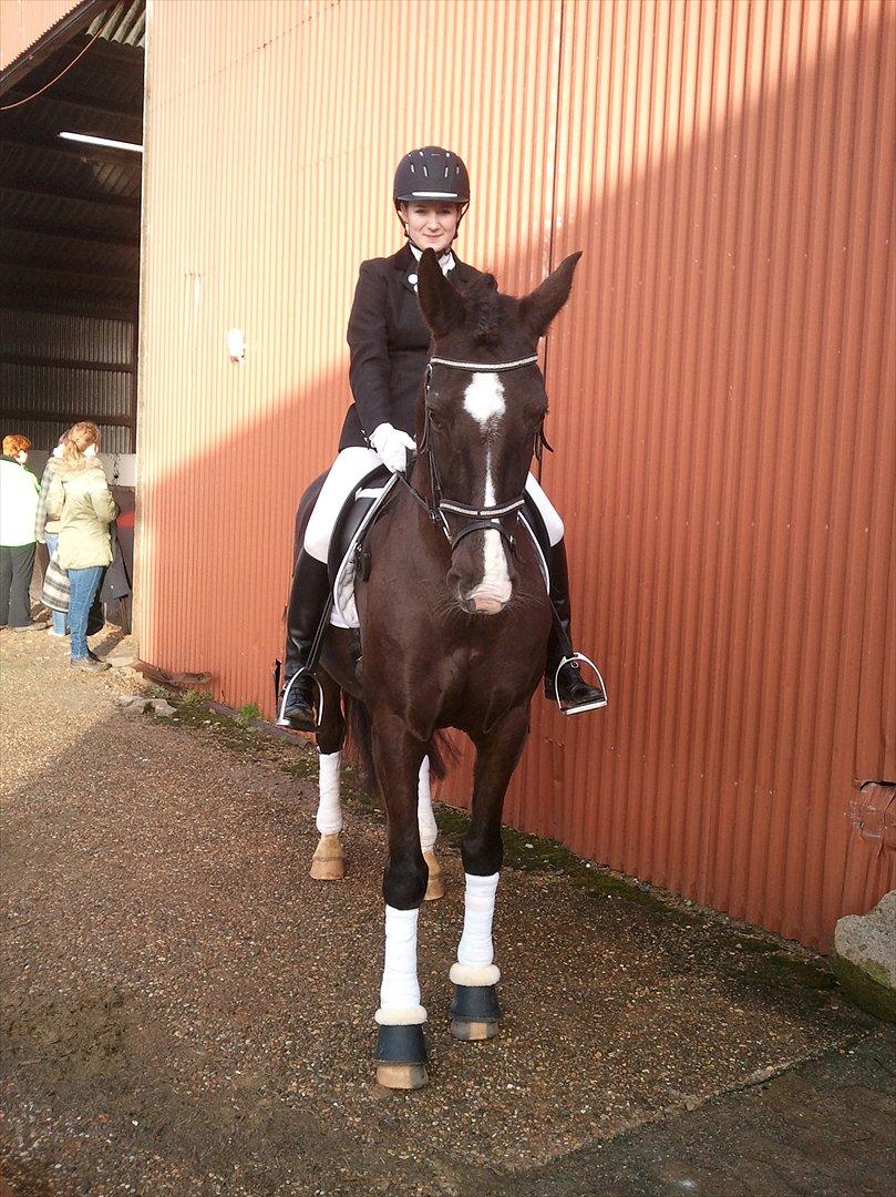 Holstener Jasmin billede 18