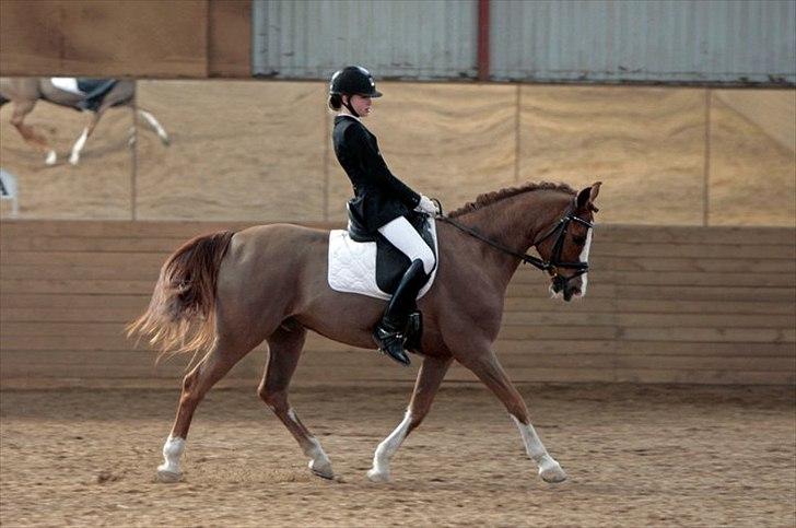 Anden særlig race tango billede 14
